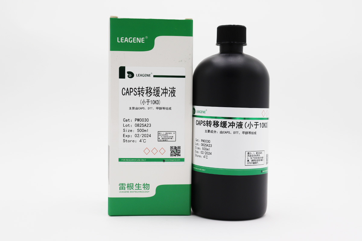 CAPS轉移緩沖液(小于10KD)