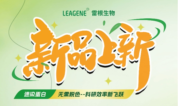 最新力作【考馬斯亮藍快速染色液（免脫色版）】，正式加入我們的產(chǎn)品家族！